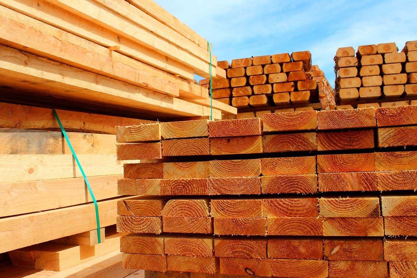 Holzware - Hobak Frick AG